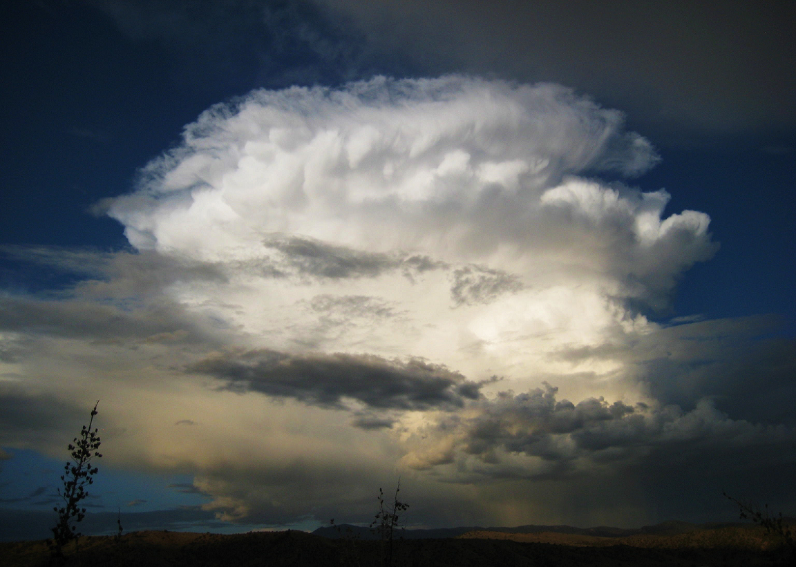 new_mexico_skies_by_foxy_lady_jacqueline.png